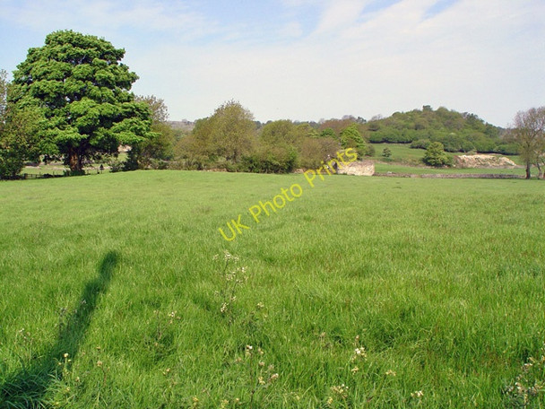 Photo 6"x4" Stubbings Laithe and Round Hill Skirethorns c2008