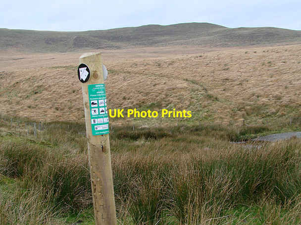 Photo 6"x4" Waymarker near Bwlchystyllen Cwmsymlog c2011