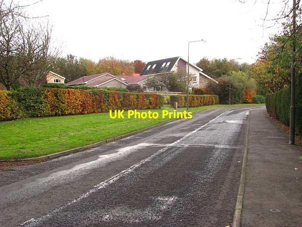 Photo 6"x4" Murieston Road Dedridge c2011
