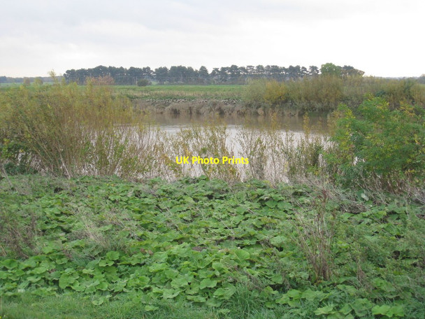 Photo 6"x4" View across the Trent East Ferry c2011