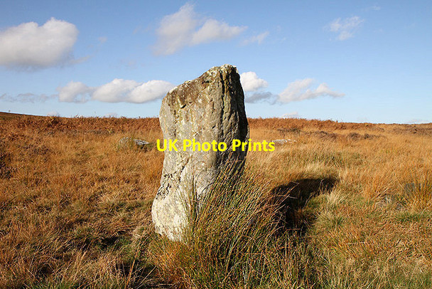 Photo 6"x4" A standing stone on Doddington Moor East Horton c2011