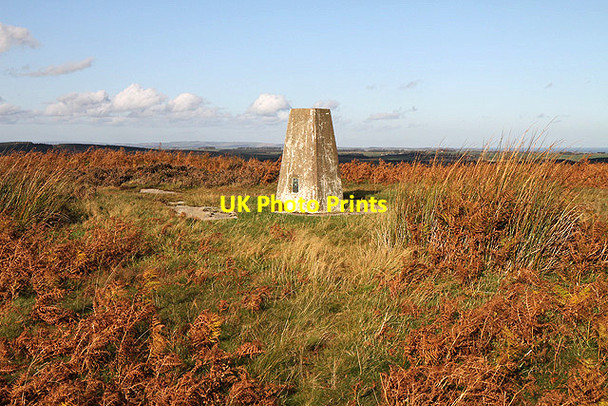 Photo 6"x4" The triangulation pillar on Dod Law Doddington\/NT9932 c2011
