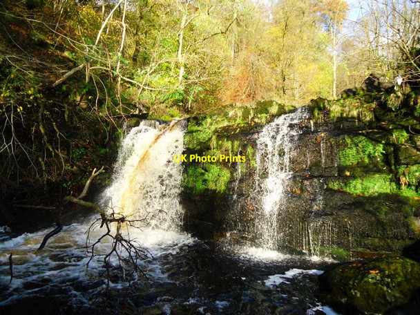 Photo 6"x4" Campsie Glen, James' Linn [2] Clachan of Campsie c2011