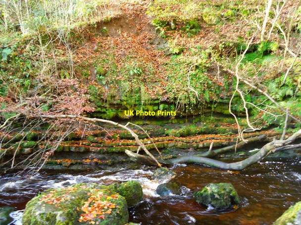 Photo 6"x4" Campsie Glen, Kirk Burn [4] Clachan of Campsie c2011