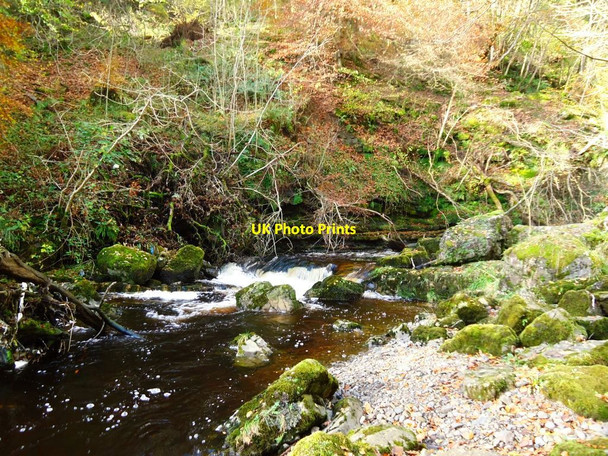 Photo 6"x4" Campsie Glen, Lady's Linn [6] Clachan of Campsie c2011