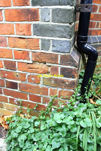 Photo 6"x4" Benchmark on #107 Waverley Road Churchend\/SU6772 c2011