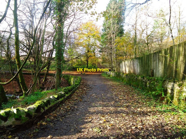 Photo 6"x4" Mugdock Country Park Milngavie c2011