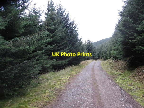 Photo 6"x4" Road on Bowbeat Hill Eddleston c2011