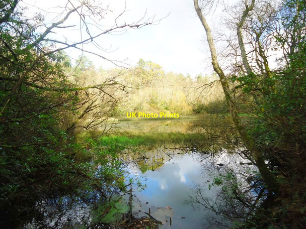 Photo 6"x4" Mugdock Reservoir Milngavie c2011