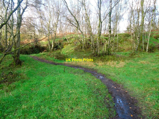 Photo 6"x4" Drumclog Muir [2] Milngavie c2011