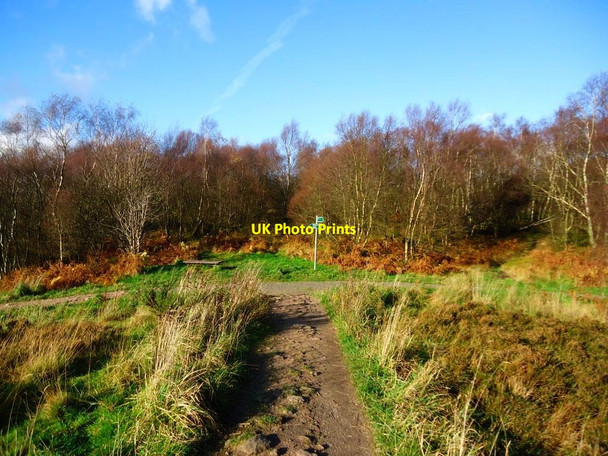 Photo 6"x4" Drumclog Muir [3] Milngavie c2011