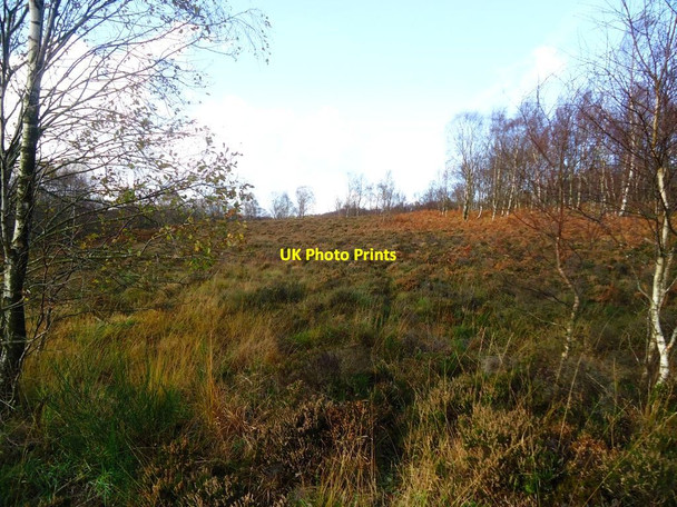 Photo 6"x4" Drumclog Muir [6] Milngavie c2011