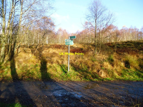 Photo 6"x4" Drumclog Muir, West Highland Way [3] Milngavie c2011