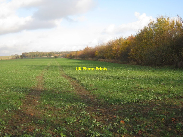 Photo 6"x4" View towards Glentworth Hall Glentworth c2011