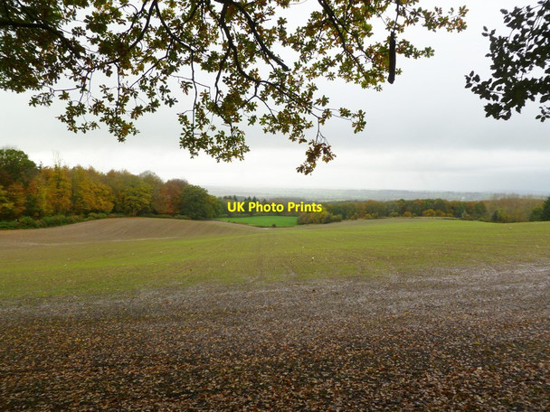 Photo 6"x4" Horningsham, arable land Horningsham c2011