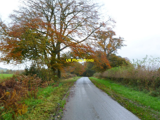 Photo 6"x4" Horningsham, autumn colours Horningsham c2011