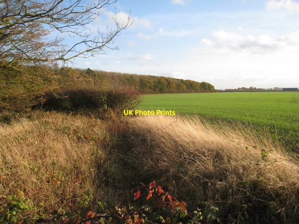 Photo 6"x4" View towards Heaton's Wood Coates\/SK9183 c2011