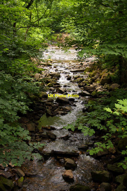 Photo 6"x4" Hardraw Beck Hardraw c2011