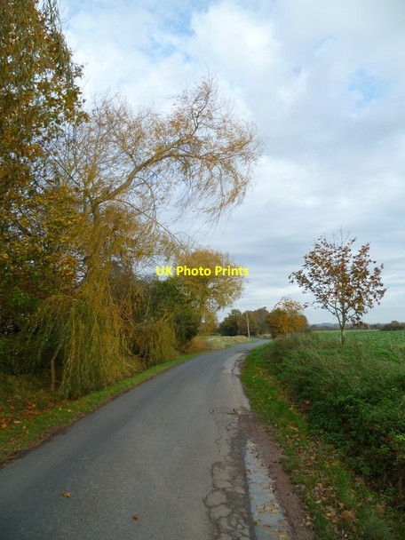 Photo 6"x4" Cot Lane leaving Chidham Nutbourne\/SU7805 c2011