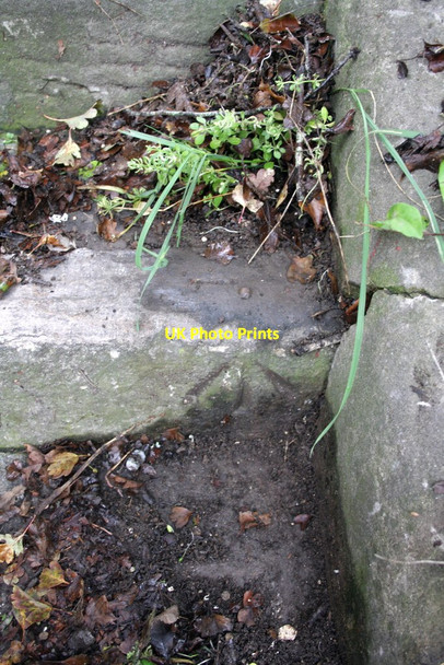 Photo 6"x4" Benchmark on Laverstock Road steps Salisbury c2011