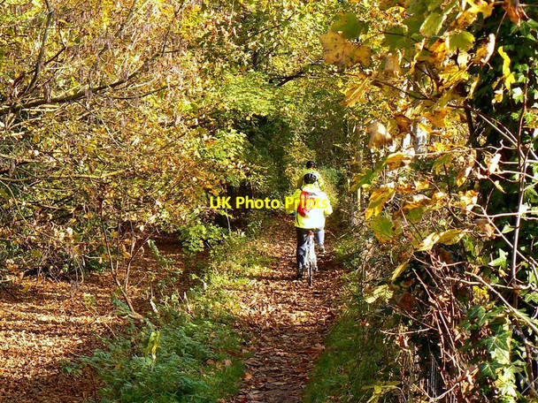 Photo 6"x4" Push-bikes on the Thames Path west of Ashton Keynes Ashton Keynes c2011