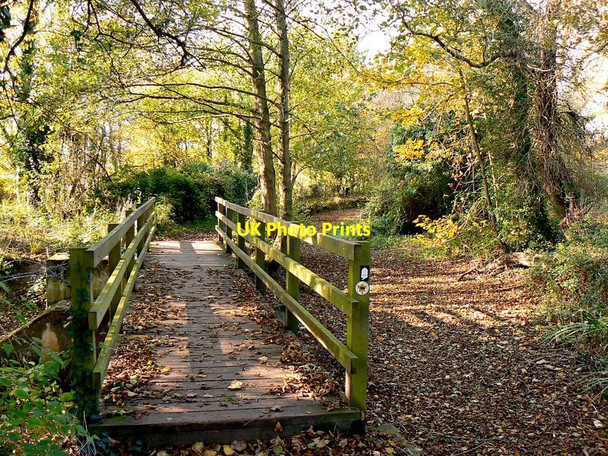 Photo 6"x4" Footbridge on the Thames Path, west of Ashton Keynes Ashton Keynes c2011