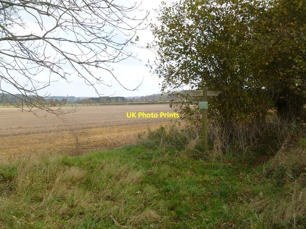 Photo 6"x4" Damerham, footpath junction Crendell c2011