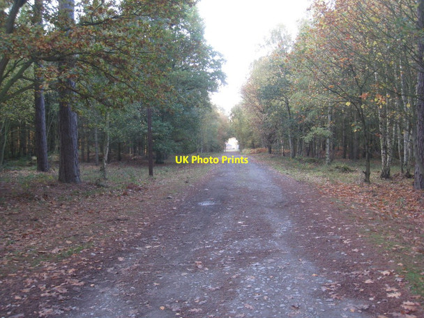Photo 6"x4" The road to Hardwick Grange Farm Kelfield\/SE8201 c2011