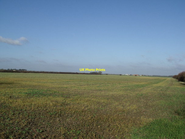 Photo 6"x4" Crop Fields off Broach Road Welbourn c2011