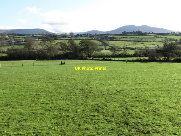 Photo 6"x4" The floodplain of the Upper Bann from Mill Road Hilltown\/J2128 c2011