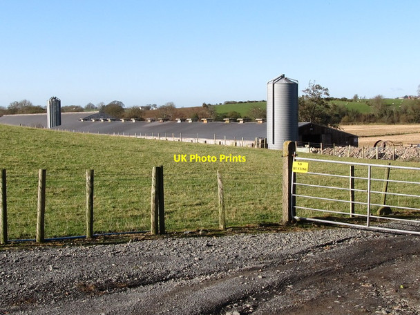 Photo 6"x4" A poultry or pig unit at Drumnascamph Rathfriland c2011