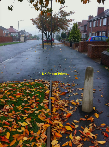 Photo 6"x4" Nanny Marr Road Darfield Darfield c2011