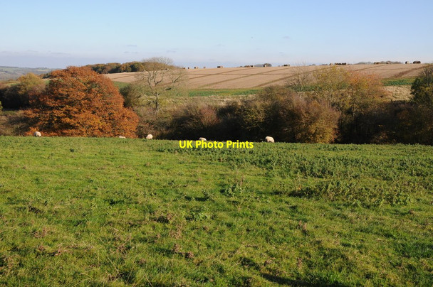 Photo 6"x4" Farmland near Hillwood Farm Highwood\/SO6566 c2011