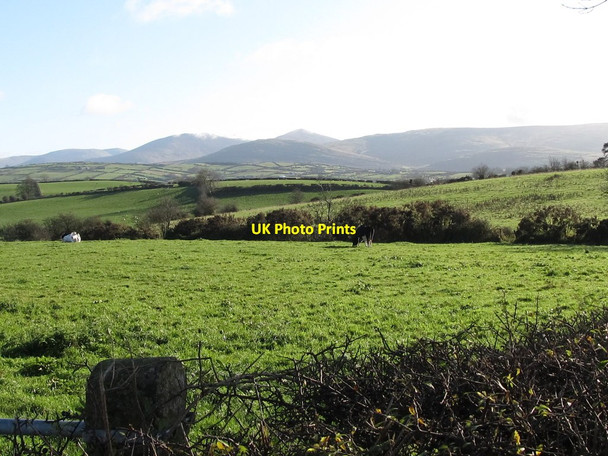 Photo 6"x4" Pasture land on drumlins east of the Ballycoshone Road Hilltown\/J2128 c2011