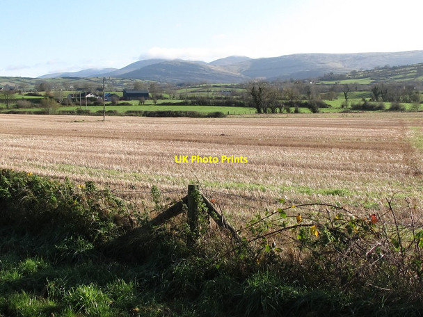 Photo 6"x4" Harvested cropland south of the middle section of Ballycoshone Road Hilltown\/J2128 c2011