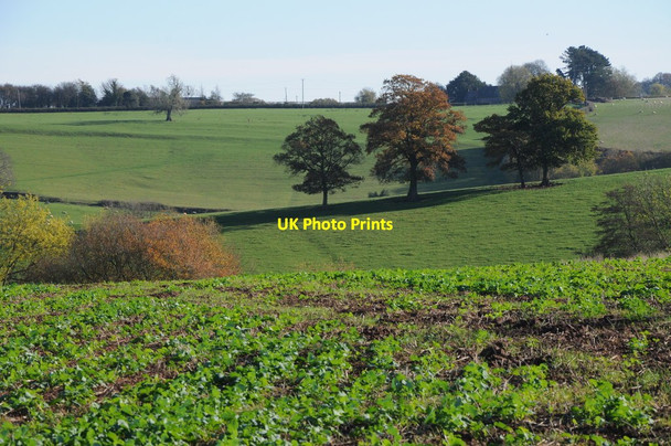 Photo 6"x4" Farmland at Hanley William Highwood\/SO6566 c2011