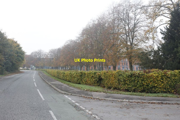 Photo 6"x4" Benson Lane from the North Entrance Wallingford c2011