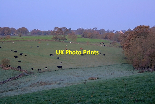 Photo 6"x4" Early Morning Fields near Parkfield Great Longstone c2011