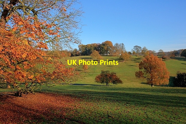Photo 6"x4" Chatsworth Park Edensor c2011