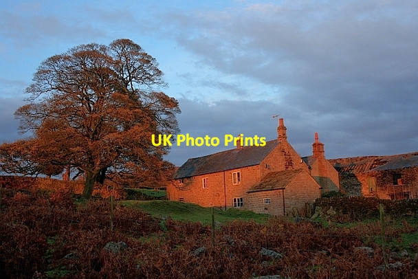 Photo 6"x4" Moorside Farm Robin Hood\/SK2772 c2011