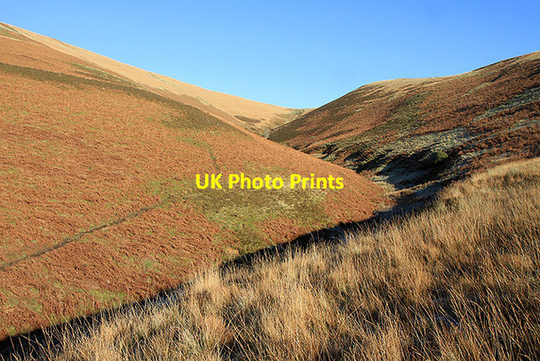Photo 6"x4" Ely Grain Linhope\/NT4001 c2011