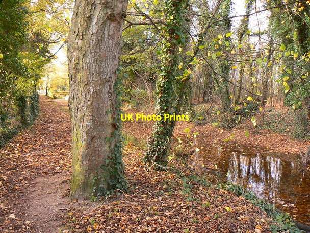 Photo 6"x4" West along the Thames Path and a nearly dry Thames, west of Ashton Keynes Ashton Keynes c2011