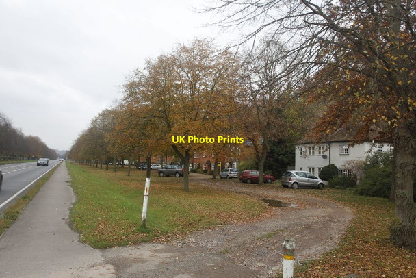 Photo 6"x4" Houses beside the Fair Mile Henley-on-Thames c2011