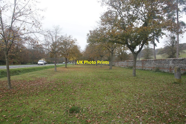 Photo 6"x4" Avenue of trees Henley-on-Thames c2011