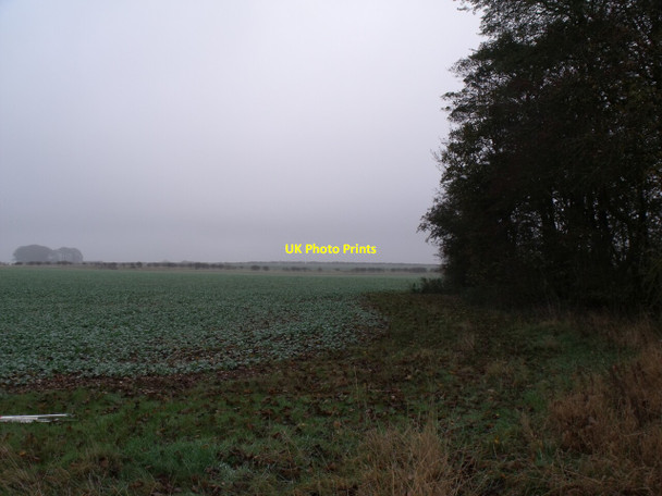 Photo 6"x4" Crop field and edge of woodland North Elkington c2011