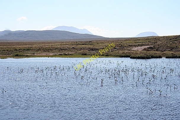 Photo 6"x4" Boggy Pond Sheigra c2008