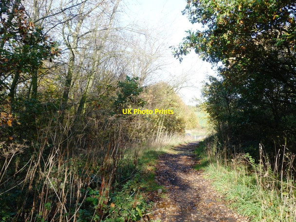 Photo 6"x4" What no bridge? Newstead\/SE3914 c2011