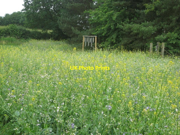 Photo 6"x4" Meadow near Whenby Lodge Farlington\/SE6167 c2010