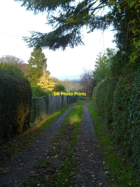 Photo 6"x4" Track between properties in Elsted Elsted c2011