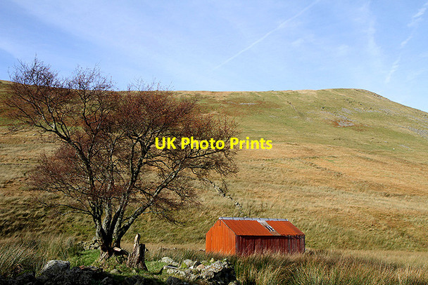 Photo 6"x4" A shed at Winter Hope Winterhopeburn\/NT1819 c2011